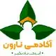 آکادمی نارون