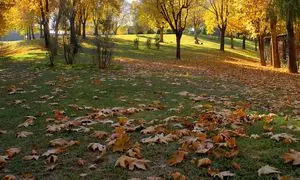 جاذبه‌های گردشگری استان تهران در پاییز ۱۴۰۴؛ ۱۰ جای دیدنی پایتخت که نباید از دست بدهید