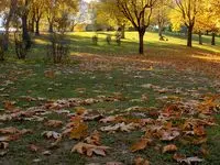 جاذبه‌های گردشگری استان تهران در پاییز ۱۴۰۴؛ ۱۰ جای دیدنی پایتخت که نباید از دست بدهید