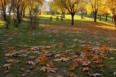 جاذبه‌های گردشگری استان تهران در پاییز ۱۴۰۴؛ ۱۰ جای دیدنی پایتخت که نباید از دست بدهید