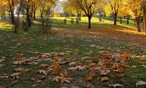 جاذبه‌های گردشگری استان تهران در پاییز ۱۴۰۴؛ ۱۰ جای دیدنی پایتخت که نباید از دست بدهید