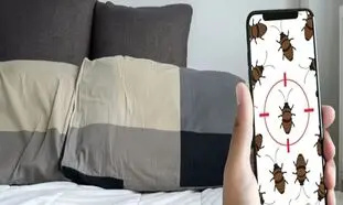 4 نشانه وجود حشره ساس در هتل و اقامتگاه