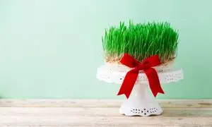 قیمت گل و سبزه عید چند؟