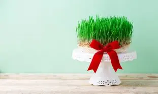 قیمت گل و سبزه عید چند؟