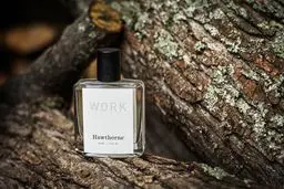 5 عطر زنانه با بوی فریبنده برای مناسبت های خاص + قیمت
