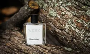 5 عطر زنانه با بوی فریبنده برای مناسبت های خاص + قیمت