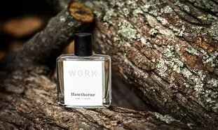 5 عطر زنانه با بوی فریبنده برای مناسبت های خاص + قیمت