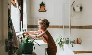 5 گیاه آپارتمانی روح نواز برای سرویس بهداشتی
