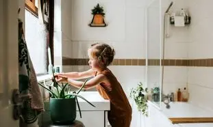 5 گیاه آپارتمانی روح نواز برای سرویس بهداشتی
