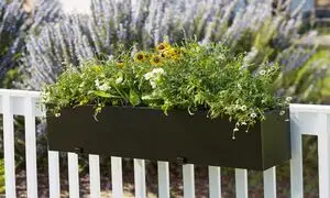 محوطه سازی با محوریت فلاورباکس