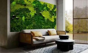 اشتباهات مهلک در نگهداری از دیوار خزه ای