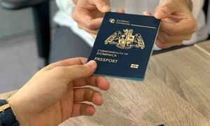 آشنایی با مراحل اخذ پاسپورت دومینیکا از طریق سرمایه‌گذاری