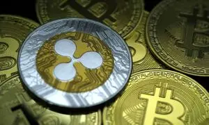 وضعیت کنونی ریپل بعد از هاوینگ بیت کوین