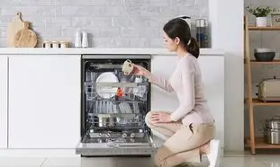 ماشین ظرف شویی ال جی بخریم یا سامسونگ؟