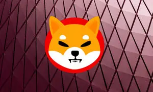 کامبک شیبا اینو و روند قیمتی آن