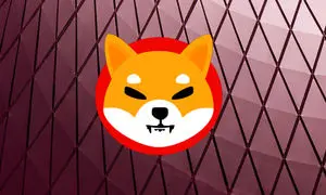 کامبک شیبا اینو و روند قیمتی آن