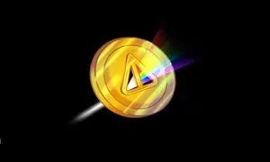 نات کوین چیست؟