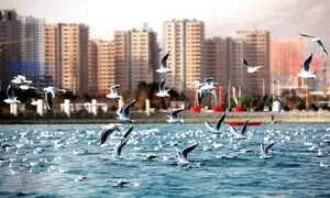 خرید آپارتمان ۱۰۰ متری در چیتگر چقدر آب می‌خورد؟
