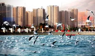 خرید آپارتمان ۱۰۰ متری در چیتگر چقدر آب می‌خورد؟