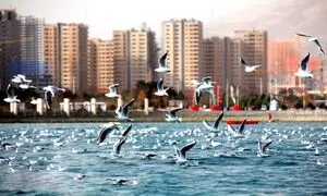 خرید آپارتمان ۱۰۰ متری در چیتگر چقدر آب می‌خورد؟