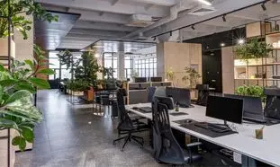 اهمیت اجرای طراحی بیوفیلیک در مدارس