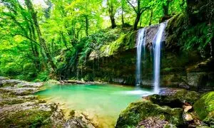 جذابترین تور 2 روزه در جنگل‌ های شمال + قیمت