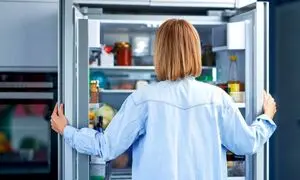 بهترین یخچال و فریزر برای خانواده های پر جمعیت کدام است؟
