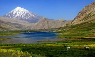 4 دشت زیبای بهاری که تا پایان خرداد باید ببینید