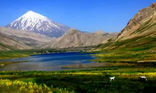 4 دشت زیبای بهاری که تا پایان خرداد باید ببینید