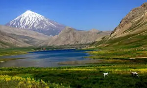 4 دشت زیبای بهاری که تا پایان خرداد باید ببینید
