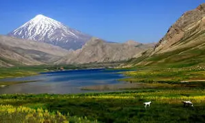 4 دشت زیبای بهاری که تا پایان خرداد باید ببینید