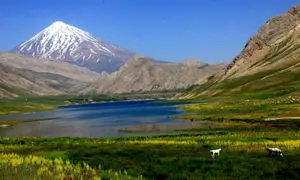 4 دشت زیبای بهاری که تا پایان خرداد باید ببینید