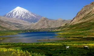4 دشت زیبای بهاری که تا پایان خرداد باید ببینید