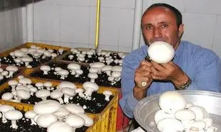 30 روش برای درآمدزایی خانگی در ایام کرونا