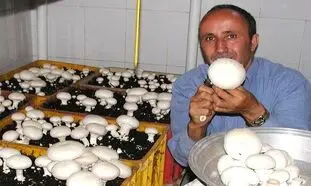 30 روش برای درآمدزایی خانگی در ایام کرونا