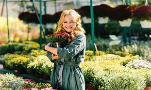 5 گیاه آپارتمانی با برگ قلبی برای فضاهای عاشقانه