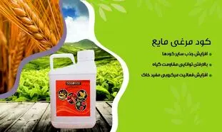 4 نوع کود مرغی که باید با آن آشنا شوید+ شرایط خرید