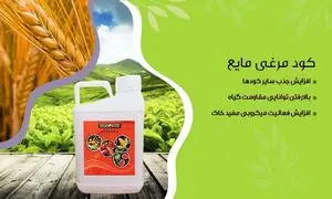 4 نوع کود مرغی که باید با آن آشنا شوید+ شرایط خرید