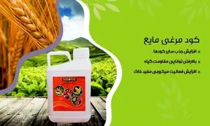 4 نوع کود مرغی که باید با آن آشنا شوید+ شرایط خرید
