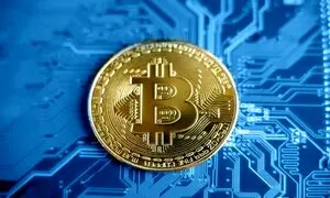 خوش بینی نسبت به بیت کوین علی رغم سقوط قیمتی آن!