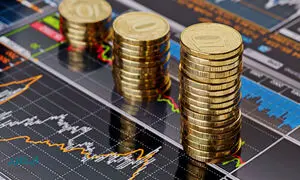 وهامون؛ از تازه‌ترین عرضه‌های اولیه امسال بازار فرابورس