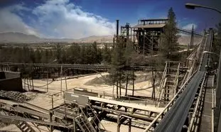هرآنچه باید درباره شرکت باما بدانید