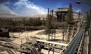 هرآنچه باید درباره شرکت باما بدانید
