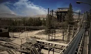 هرآنچه باید درباره شرکت باما بدانید