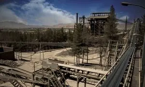 هرآنچه باید درباره شرکت باما بدانید