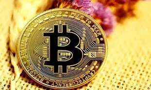 دارندگان بیت کوین همیشه برنده اند!