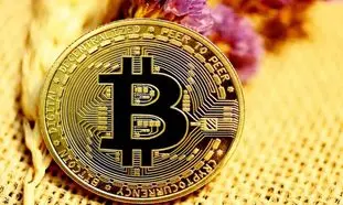 دارندگان بیت کوین همیشه برنده اند!