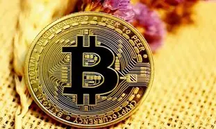 دارندگان بیت کوین همیشه برنده اند!