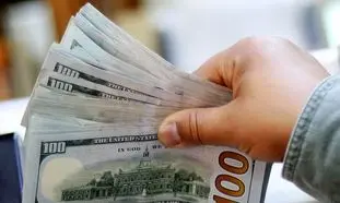 خبری از ترکیه قیمت دلار در تهران را پایین آورد!