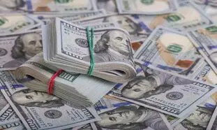 رشد قیمتی دلار اتفاق افتاد